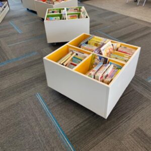 browse bins for children's board and picture books